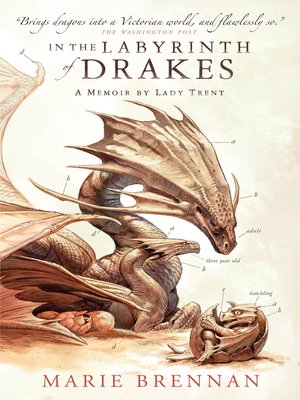 cover image of In the Labyrinth of Drakes
